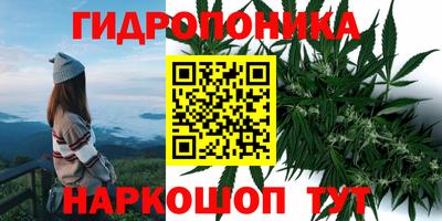 марки lsd Будённовск