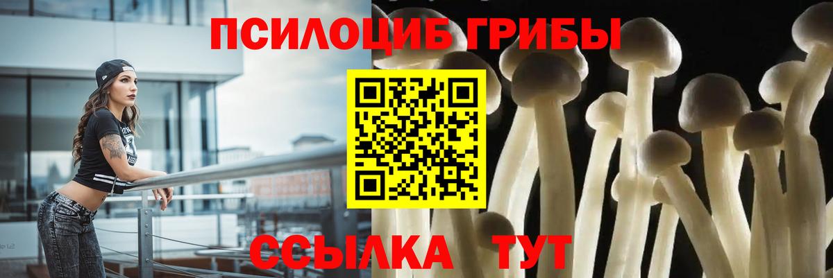Галлюциногенные грибы MAGIC MUSHROOMS Тимашёвск